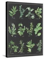 Herb Chart on Black White Border-null-Stretched Canvas