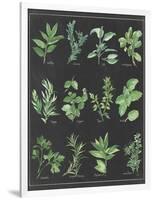 Herb Chart on Black White Border-null-Framed Art Print