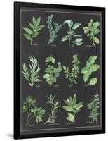 Herb Chart on Black White Border-null-Framed Art Print