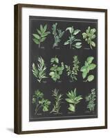 Herb Chart on Black White Border-null-Framed Art Print