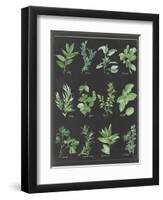 Herb Chart on Black White Border-null-Framed Art Print