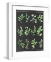 Herb Chart on Black White Border-null-Framed Art Print