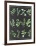 Herb Chart on Black White Border-null-Framed Art Print