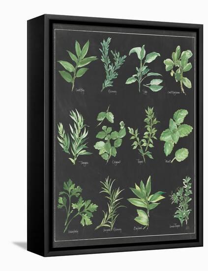 Herb Chart on Black White Border-null-Framed Stretched Canvas