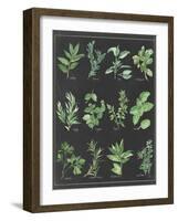 Herb Chart on Black White Border-null-Framed Art Print