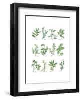 Herb Chart-Chris Paschke-Framed Art Print