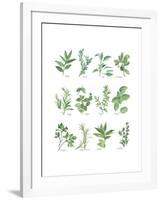 Herb Chart-Chris Paschke-Framed Art Print