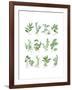 Herb Chart-Chris Paschke-Framed Art Print