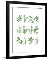 Herb Chart-Chris Paschke-Framed Art Print