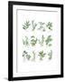 Herb Chart-Chris Paschke-Framed Art Print