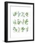 Herb Chart-Chris Paschke-Framed Art Print