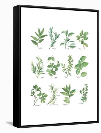 Herb Chart-Chris Paschke-Framed Stretched Canvas