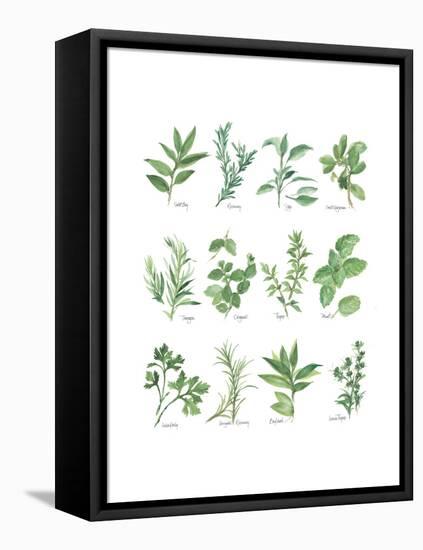 Herb Chart-Chris Paschke-Framed Stretched Canvas