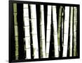 Gramercy Black