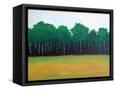 Canvas Black