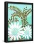 Essential Black