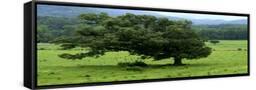 Canvas Black