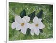Gramercy White