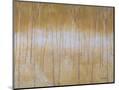 Wood Mount