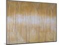 Wood Mount