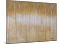 Wood Mount