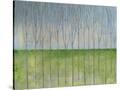 Stretched Canvas