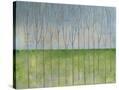 Stretched Canvas