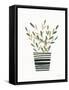 Herb Garden I-Courtney Prahl-Framed Stretched Canvas