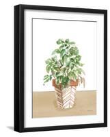 Herb Garden II White-Beth Grove-Framed Art Print
