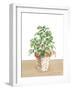 Herb Garden II White-Beth Grove-Framed Art Print