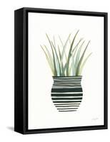 Herb Garden II-Courtney Prahl-Framed Stretched Canvas