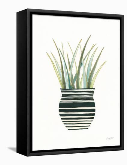 Herb Garden II-Courtney Prahl-Framed Stretched Canvas
