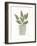 Herb Garden III-Courtney Prahl-Framed Art Print