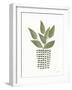 Herb Garden III-Courtney Prahl-Framed Art Print