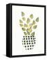 Herb Garden IV-Courtney Prahl-Framed Stretched Canvas