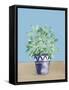 Herb Garden V White Navy-Beth Grove-Framed Stretched Canvas