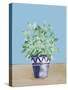 Herb Garden V White Navy-Beth Grove-Stretched Canvas