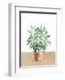 Herb Garden V White-Beth Grove-Framed Art Print