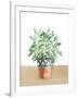 Herb Garden V White-Beth Grove-Framed Art Print