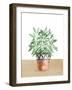 Herb Garden V White-Beth Grove-Framed Art Print