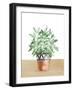 Herb Garden V White-Beth Grove-Framed Art Print