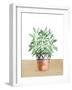 Herb Garden V White-Beth Grove-Framed Art Print