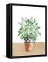 Herb Garden V White-Beth Grove-Framed Stretched Canvas