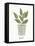 Herb Garden VII-Courtney Prahl-Framed Stretched Canvas