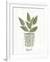 Herb Garden VII-Courtney Prahl-Framed Art Print