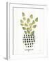 Herb Garden VIII-Courtney Prahl-Framed Art Print