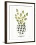 Herb Garden VIII-Courtney Prahl-Framed Art Print