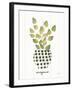 Herb Garden VIII-Courtney Prahl-Framed Art Print