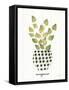 Herb Garden VIII-Courtney Prahl-Framed Stretched Canvas