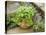 Herb Garden with Terracotta Pot with Sweet Basil, Curled Parsley and Creeping Thyme, Norfolk, UK-Gary Smith-Stretched Canvas